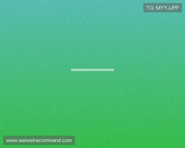 世界杯南非对阵韩国比赛前的观众购票指南与现场观看注意事项